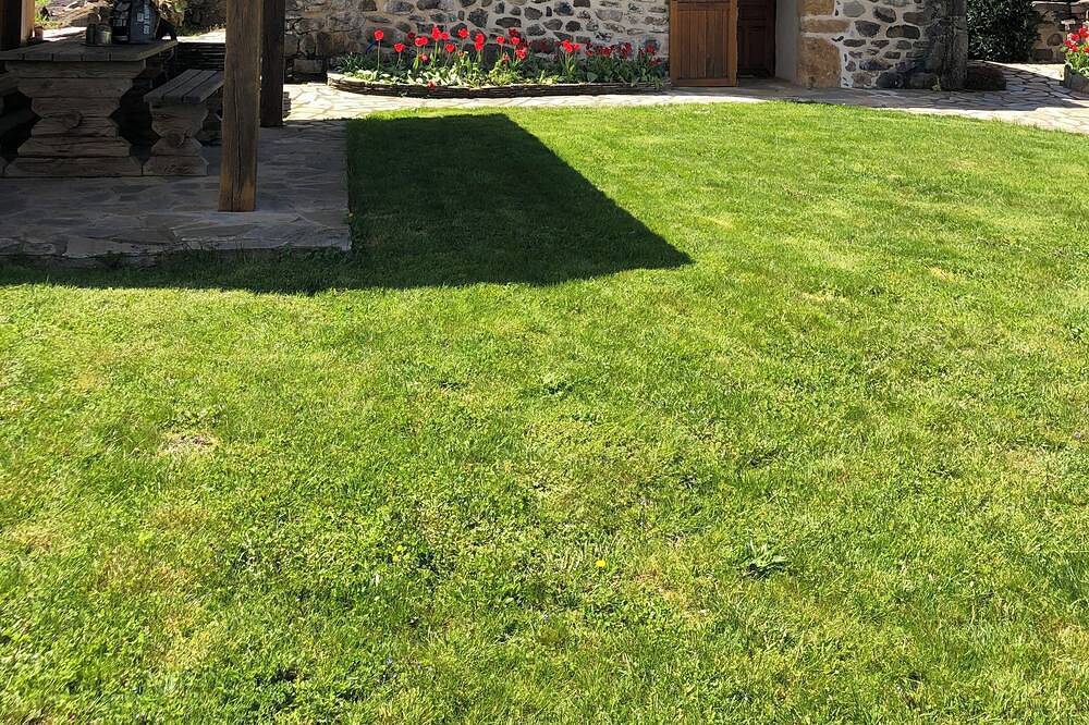 Gîte pour 5 Personnes dans Saint-Alyre-ès-Montagne, Région de Besse-et-Saint-Anastaise