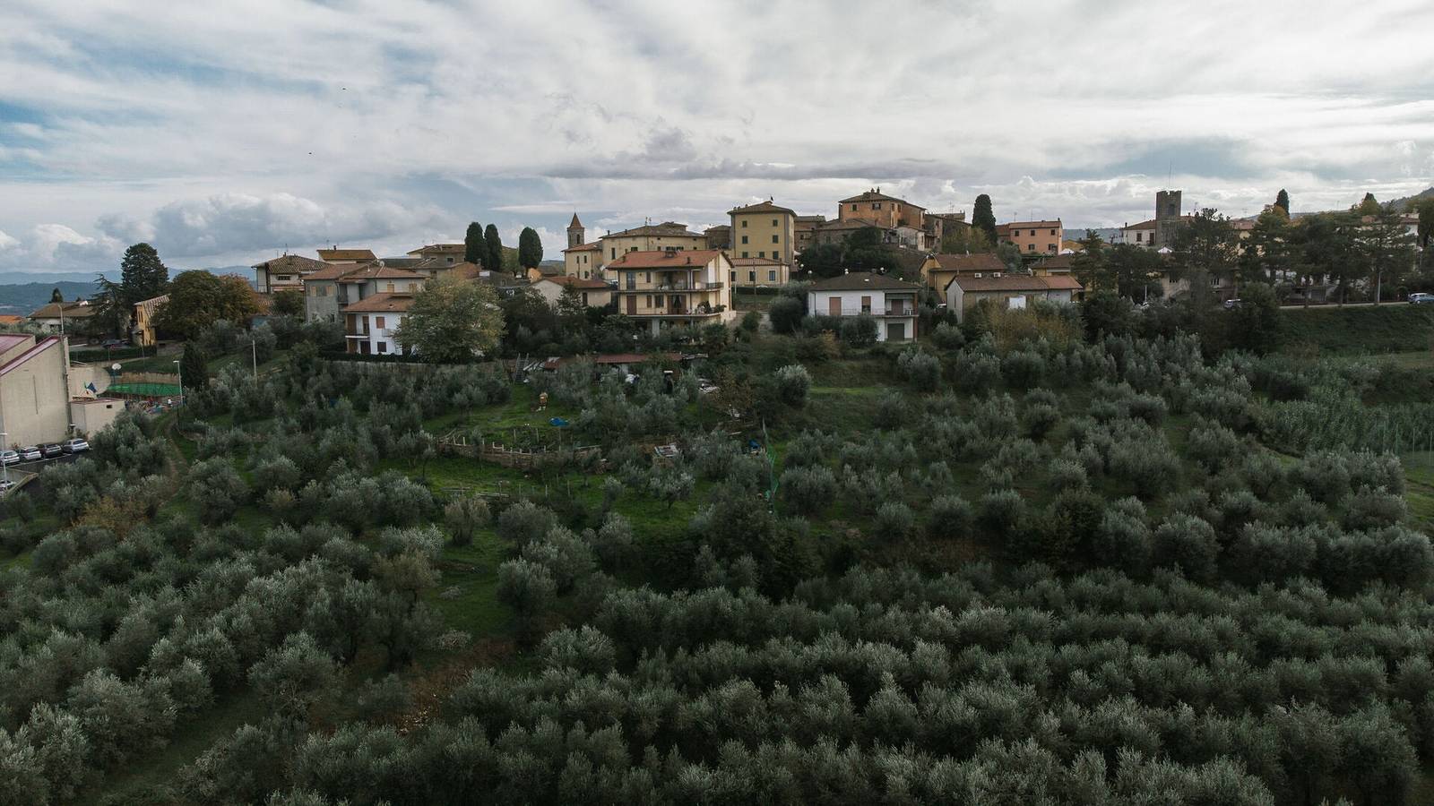 La Miccia in Laterina Pergine Valdarno, Chianti