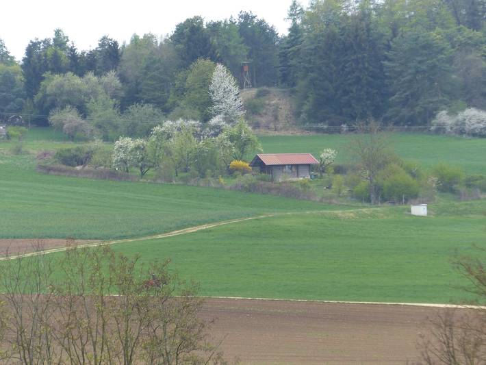Ferienwohnung für 4 Personen in Nördlingen - 2