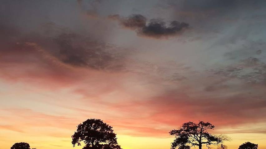 Ferienhaus für 4 Personen, mit Balkon in Hasselberg - 2