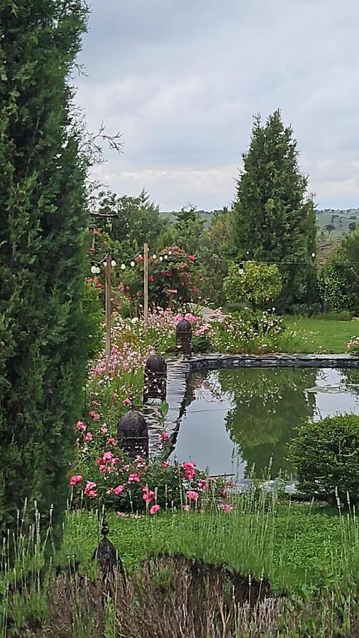 Chalet para 2 personas, con jardín y piscina, Se admiten mascotas en Provincia de Madrid - 2
