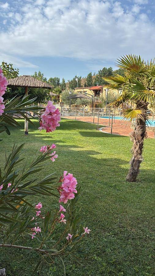 Casa rural para 2 personas, con Terraza y Jacuzzi además de Jardín y Piscina en Comunidad de Calatayud - 4