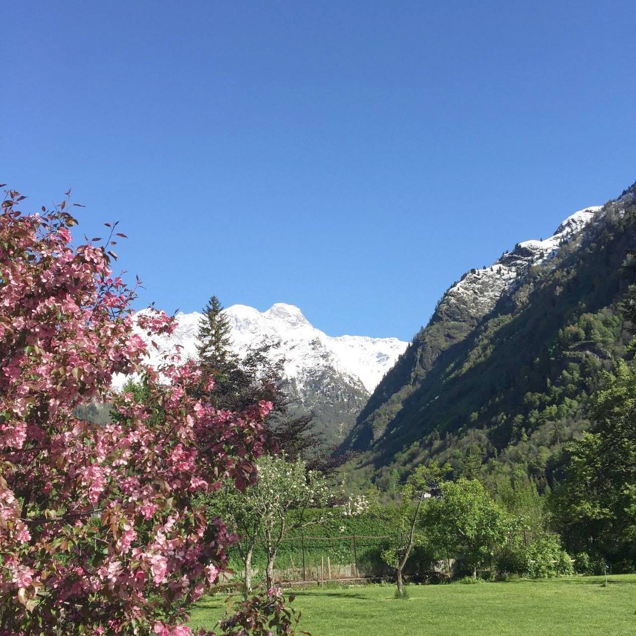 Tre Alberi Liberi in Riva Valdobbia, Alagna Valsesia