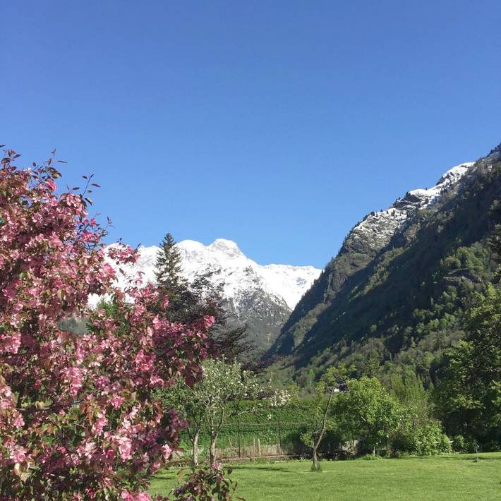 Chambre d’hôte pour 4 personnes, avec jardin ainsi que sauna et vue dans Piémont - 4