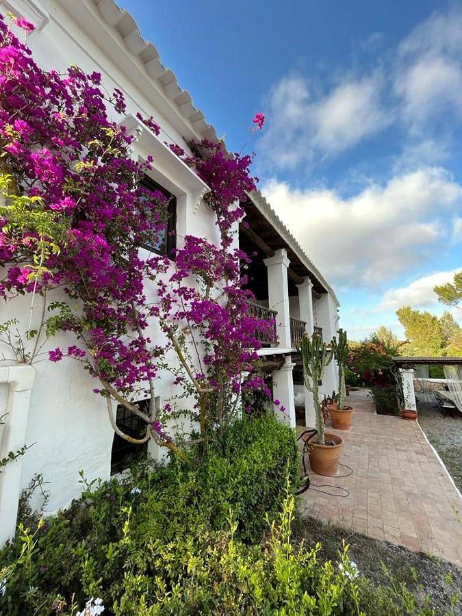 Villa in Ibiza (Municipality), Coast of Ibiza