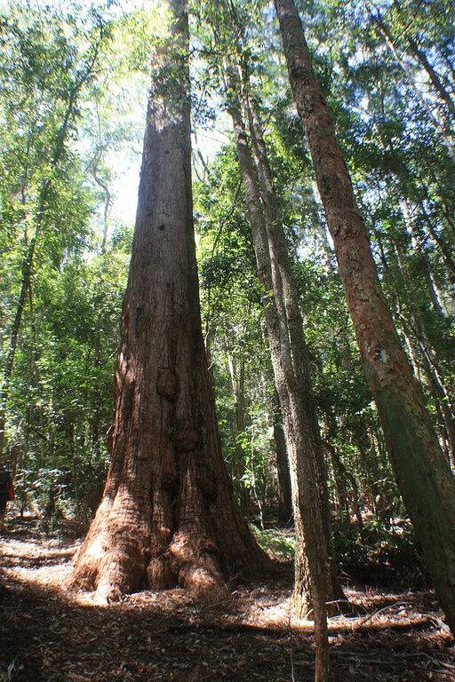 Chalet für 14 Personen in New South Wales