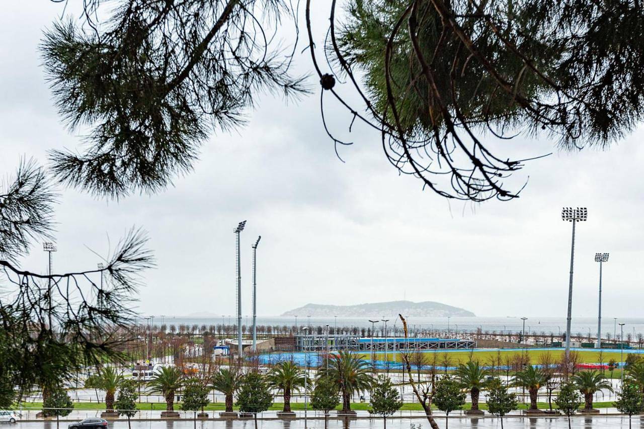 Unique House with Tree Inside near Sea in Maltepe in Maltepe, Marmararegion