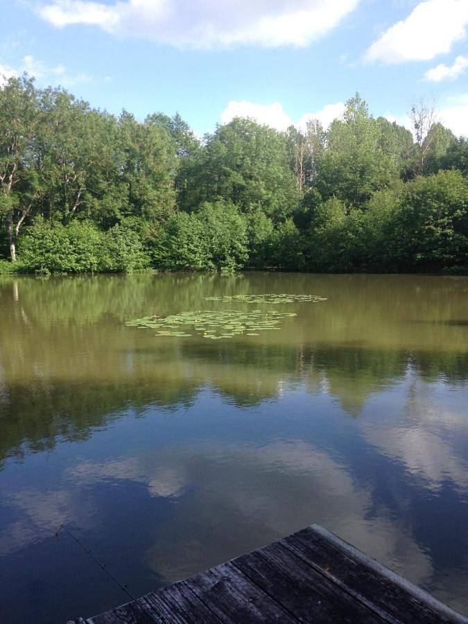 Camping pour 4 personnes, avec vue et jardin ainsi que vue sur le lac et terrasse, animaux acceptés