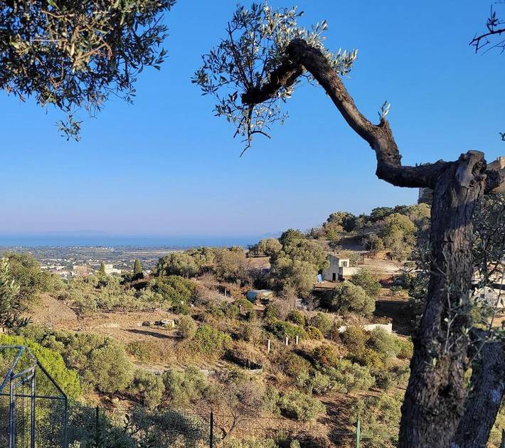 Chambre d’hôte pour 2 personnes, avec vue et terrasse à Hyeres - 4