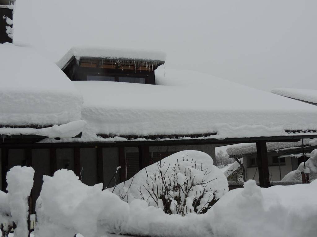 Fw Zauberblick - Ferienwohnung in Zwiesel, Šumava Mountains