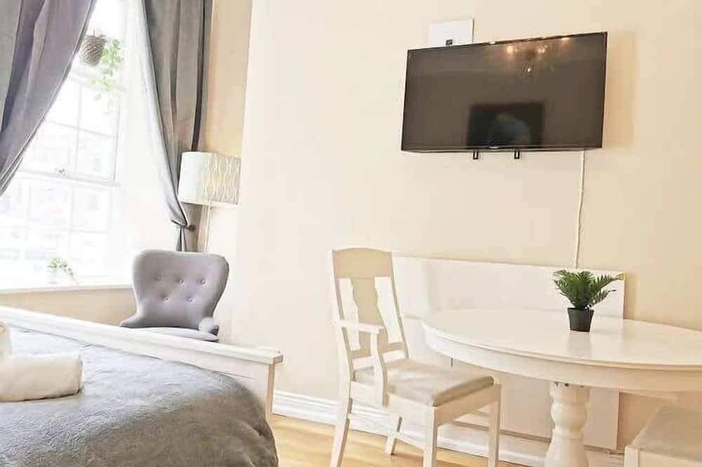 Entire apartment, Lovely Renovated Large Spacious Georgian Studio in Dublin, County Dublin