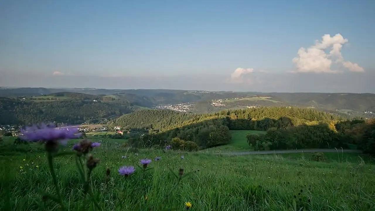 Ganze Ferienwohnung, Ferienwohnung für 2 Personen (65 m²) in Hausen (Wied) in Hausen (Wied), Rheinland-Pfalz