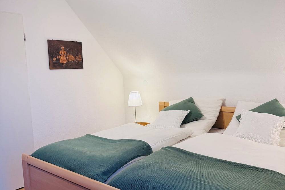Ganze Wohnung, Große Ferienwohnung im Hochschwarzwald mit Infrarotkabine & Südbalkon in St. Blasien, Südschwarzwald