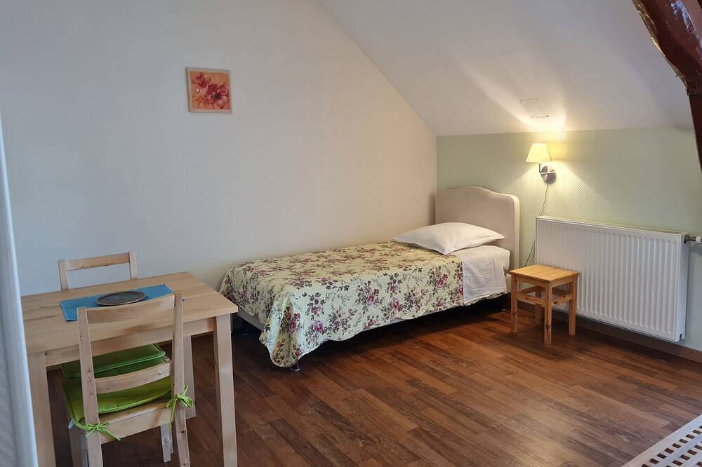 Ferme rénovée au calme - 4 chambres, petit-déjeuner inclu in Cravant (Loiret), Vallée de la Loire