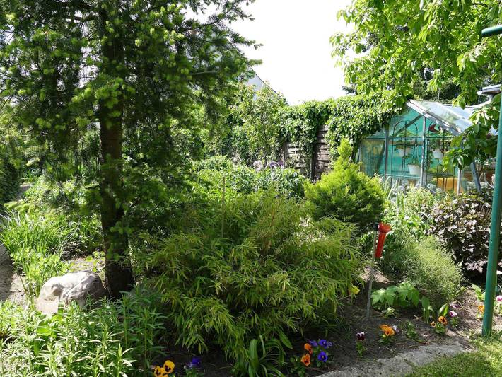 Ferienwohnung für 2 Personen, mit Garten in Waren (Müritz) - 4