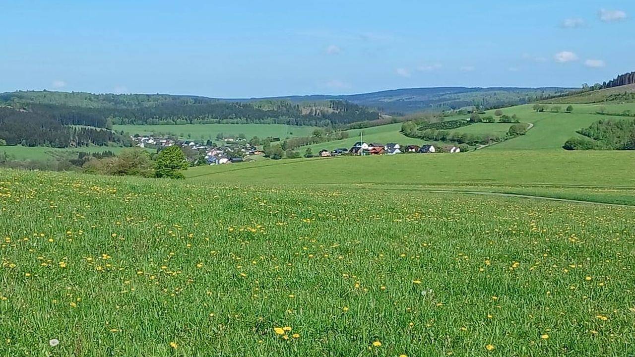 Ferienhaus für 12 Personen (200 m²) in Erndtebrück in Erndtebrück, Kreis Siegen-Wittgenstein