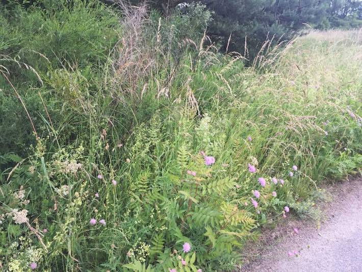 Ferienwohnung für 8 Personen, mit Ausblick und Garten sowie Terrasse, kinderfreundlich in Wendland - 4