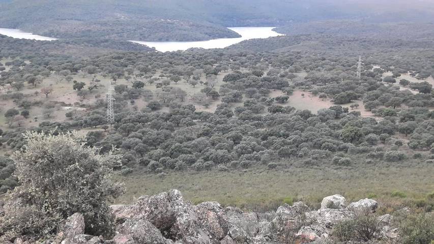 Casa rural para 3 personas, con vistas y terraza, Familias con niños en Parque Nacional de Monfragüe - 2