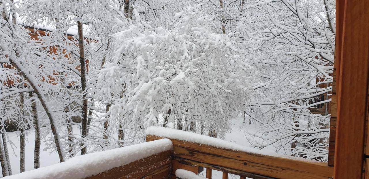 Chalet bois au milieu des Pyrénées in L'Hospitalet-près-l'Andorre, Pyrénées