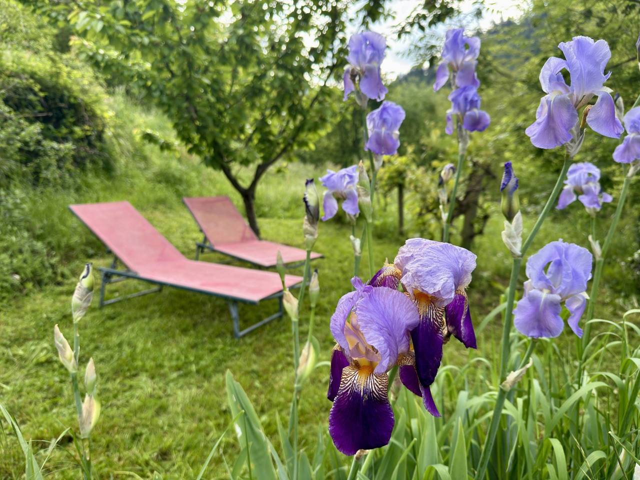 Gite de charme La Tourelle sur la Dolce Via in Saint-Julien-Labrousse, Parc naturel régional des Monts d'Ardèche