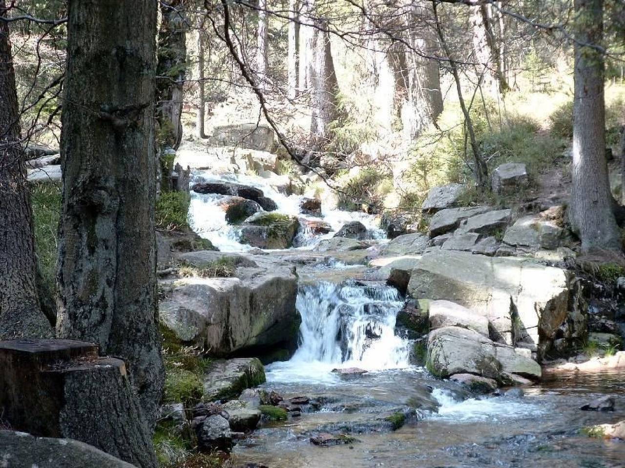 Drabik, foto 10