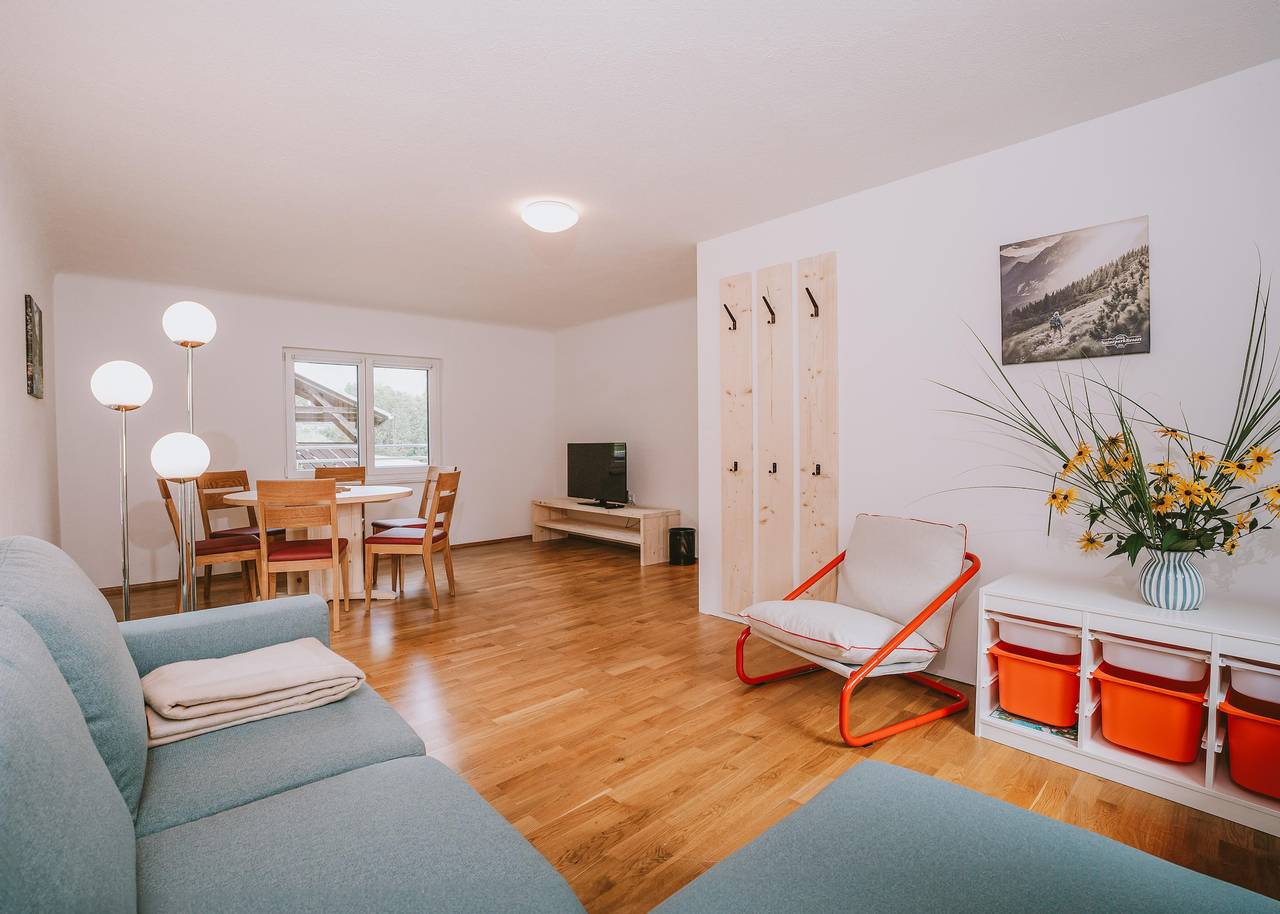 Ganze Ferienwohnung, Apartment Hochtor in Landl, Gesäuse