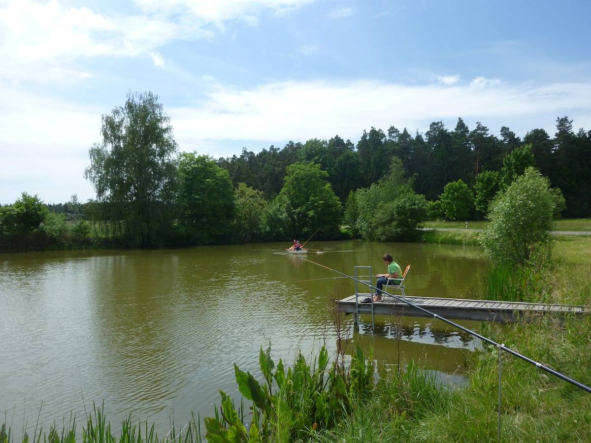 Ferienbauernhof Schuler - Ferienwohnung Gänseblümchen, foto 9