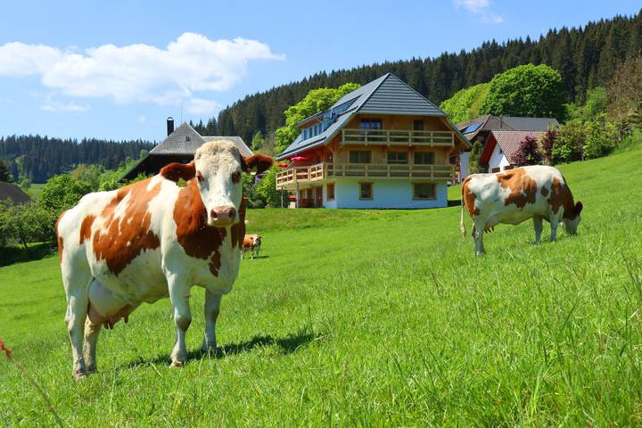 Ferienwohnung für 4 Personen, mit Garten in Lenzkirch