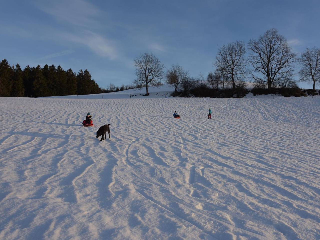 Ganze Ferienwohnung, Ferienhof Hopfgärtle Müller - Ferienwohnung Apfelrot in Bodnegg, Region Bodensee-Oberschwaben