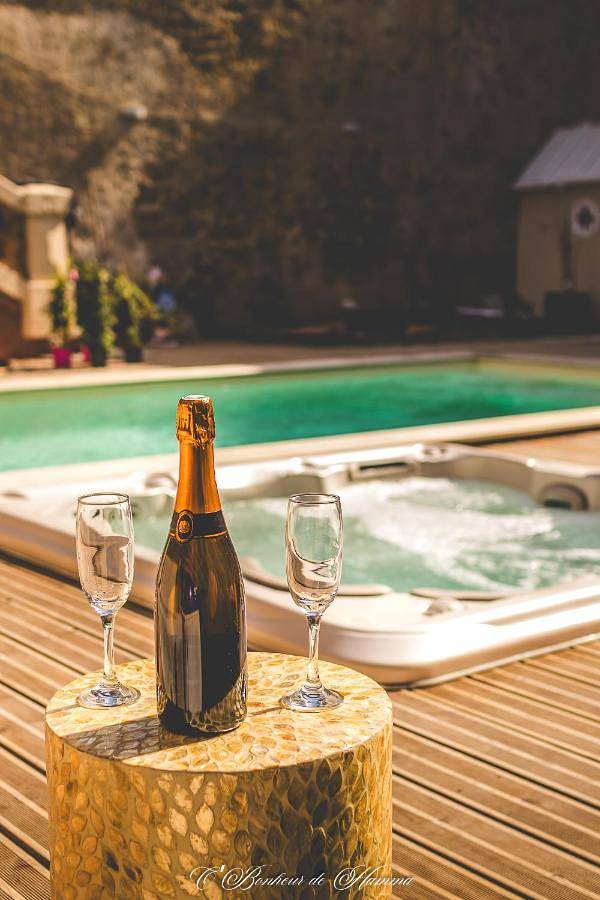 Chambre d’hôte pour 3 personnes, avec piscine ainsi que sauna et jacuzzi, animaux acceptés à Castelnaudary - 4