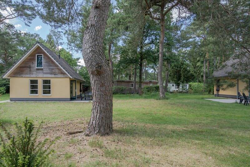 Rcn het Grote Bos — Holiday home Beukenrode in Doorn, Utrecht region