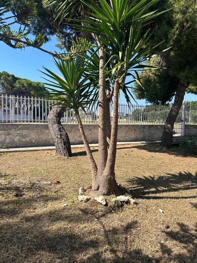 Villa Felice in Leporano Marina, Leporano