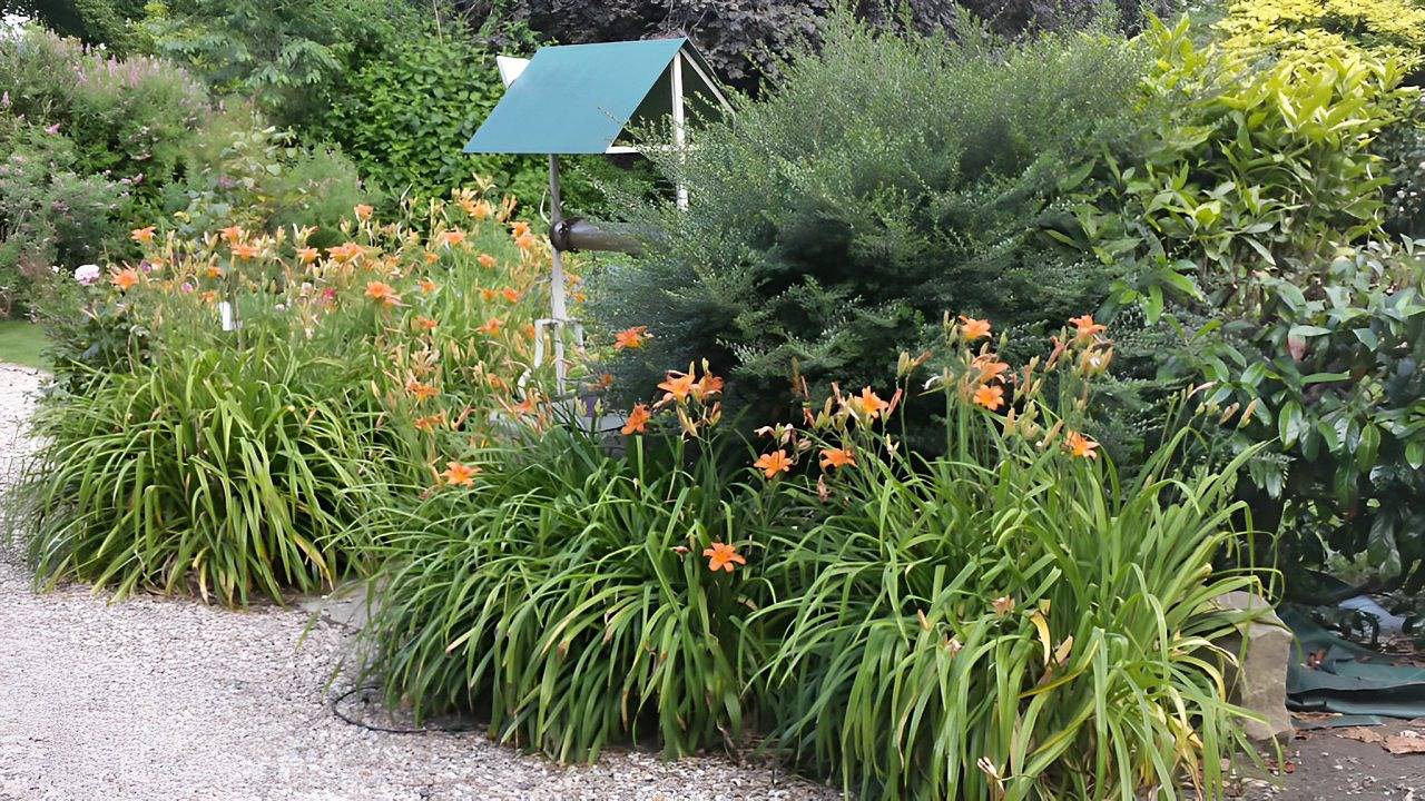 Ferme du Cèdre - Chambre Amande in Foucart, Région du Havre