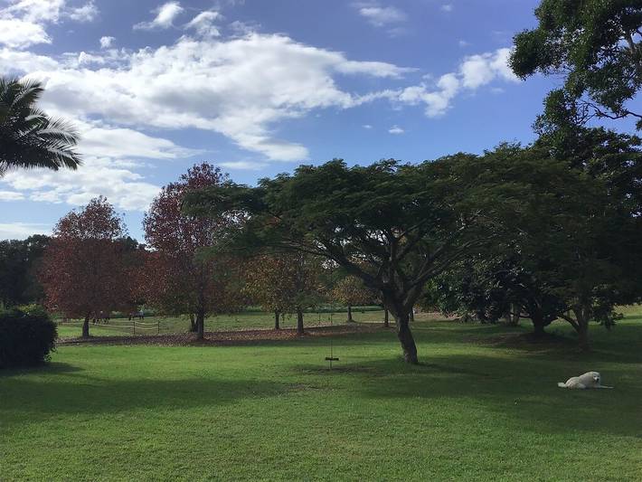 Maison d’hôte pour 15 personnes, avec jardin et jacuzzi dans Australie