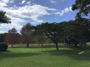 Maison d’hôte pour 15 personnes, avec jacuzzi et jardin dans Australie