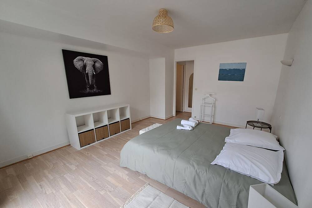 Ganze Wohnung, Unique appartment dowtown  in Versailles, Yvelines