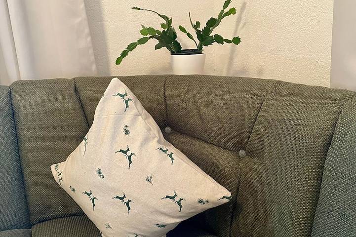 B&B für 3 Personen, mit Garten in Tannheimer Tal - 3