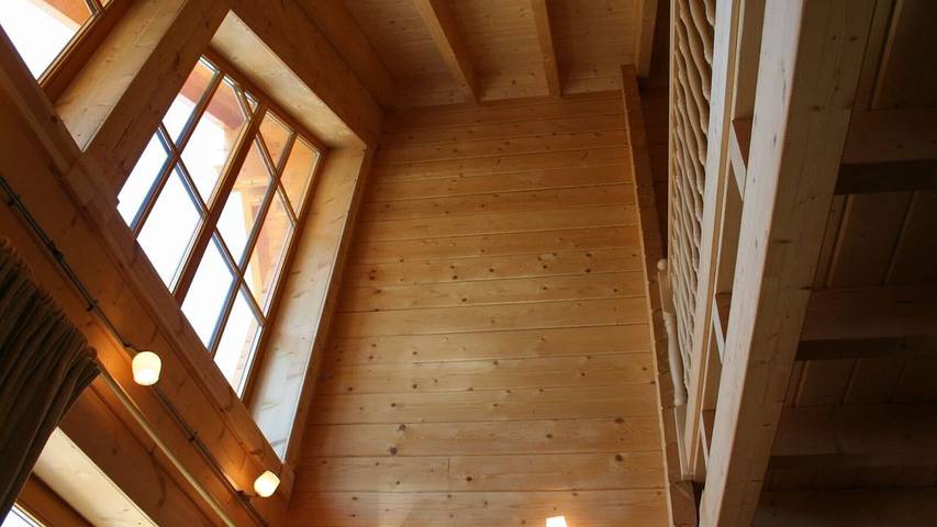 Chalet für 10 Personen, mit Sauna und Garten in Willingen - 3