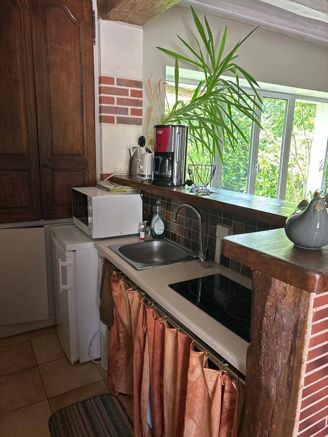 Location de vacances pour 3 personnes, avec piscine et jardin à Chaumont-sur-Loire - 4