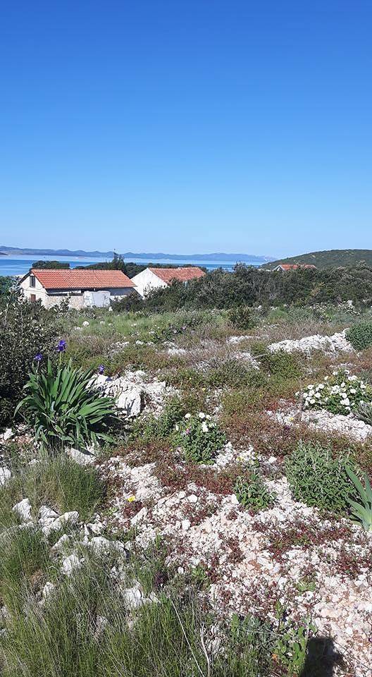 Robinsonhaus in Pašman mit Meerblick, Terrasse, Klimaanlage, W-Lan (4654-1) in Pasman Stadt, Pasman