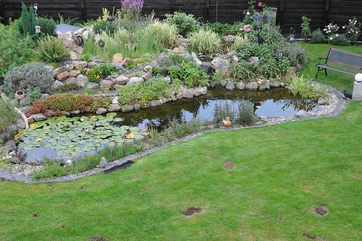 Ferienwohnung für 3 Personen, mit Balkon in Speyer - 2