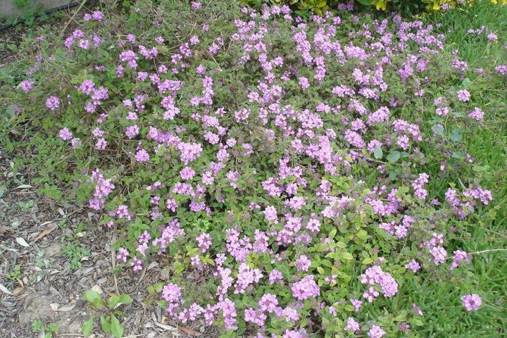 Location de vacances pour 2 personnes, avec vue et jardin ainsi que piscine et terrasse à Sausset-les-Pins - 2