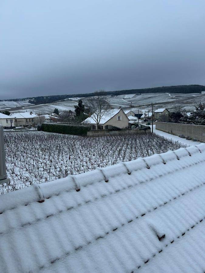 Appartement entier, Gîte indépendant Diz'enreves au cœur des vignes in Dizy, Parc naturel régional de la Montagne de Reims