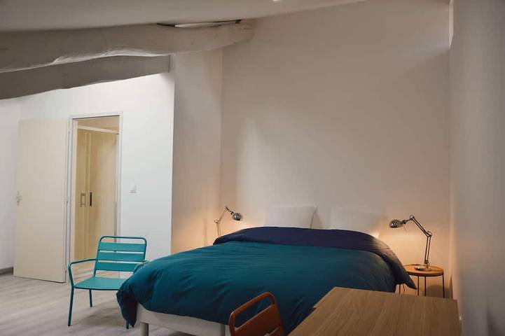 Gîte pour 12 personnes, avec jardin à Azay-le-Brûlé - 4