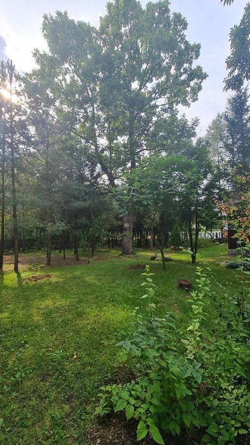 Panann Organic Farm in Eliaszuki, Białowieski Park Narodowy