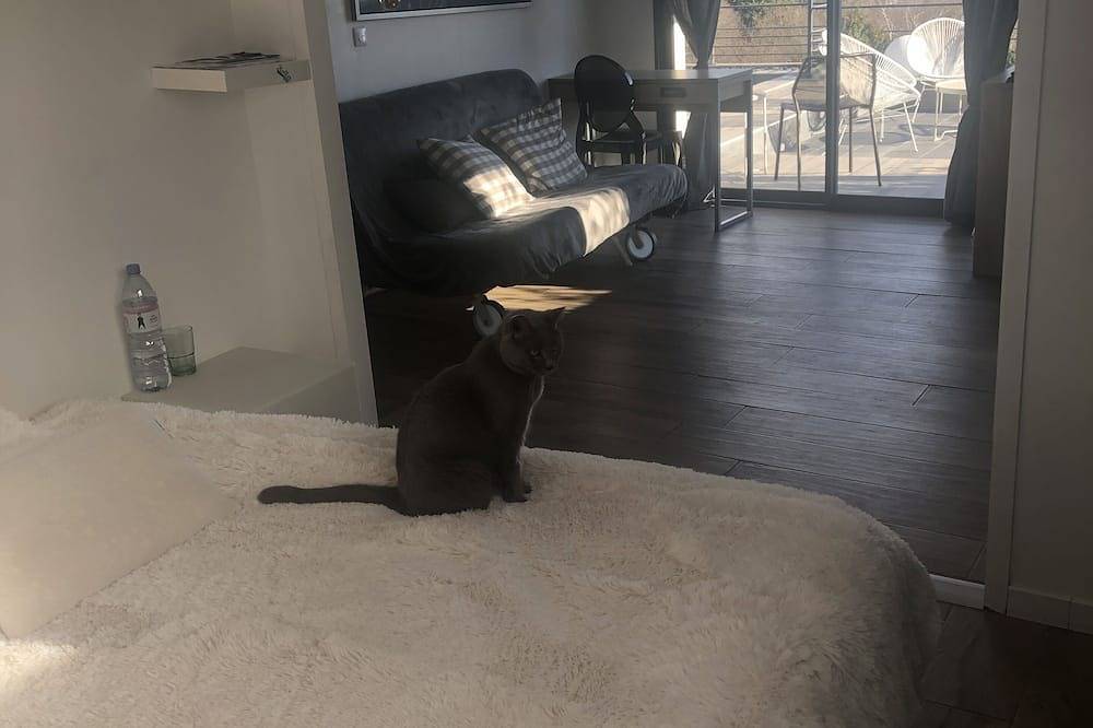 Beautiful contemporary villa in Rochefort-du-Gard, Nimes region