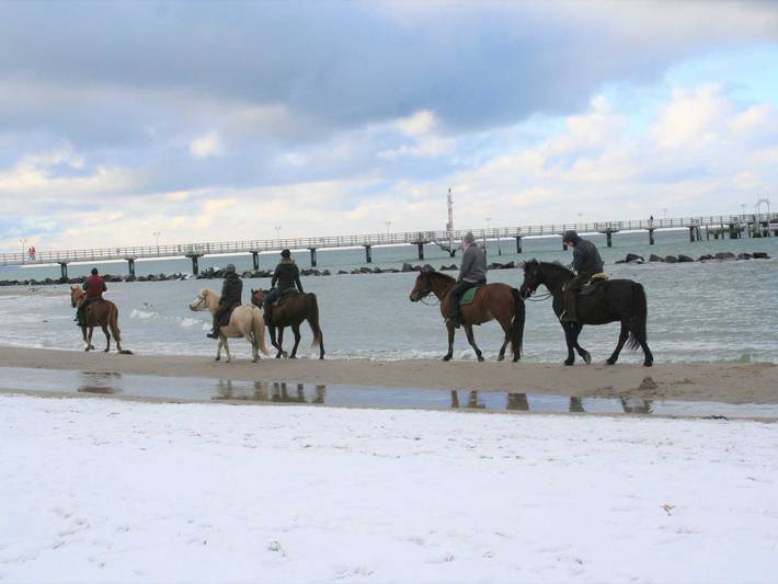 Ferienwohnung für 3 Personen, mit Balkon und Garten sowie Seeblick in Ahrenshoop - 4