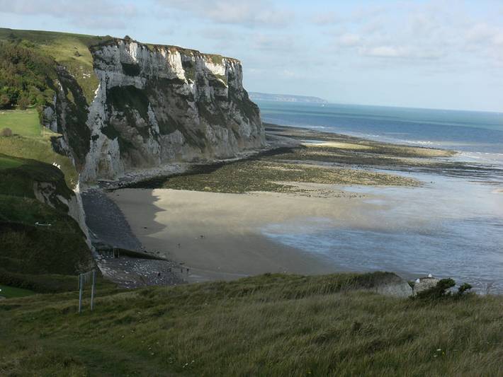 Gîte pour 4 personnes, avec terrasse et jardin, animaux acceptés dans Petit-Caux - 3