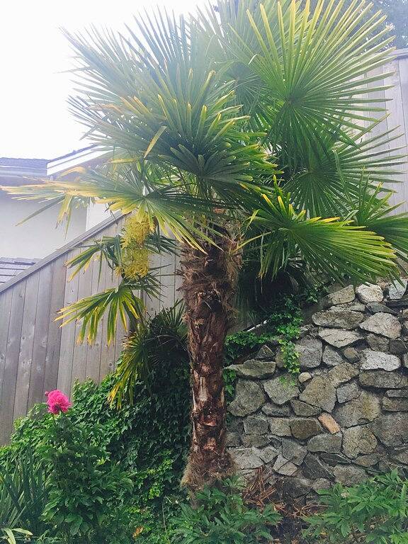 Private Waterfront Beach House Kayak, Paddle Board & Whirlpool alles inklusive genießen in Sechelt, Sunshine Coast Regional District