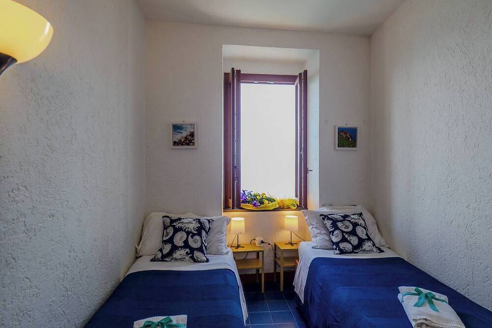 Entire apartment, La Lampara Sea View Terrace Apartment with Ac in Manarola, Riomaggiore Municipality